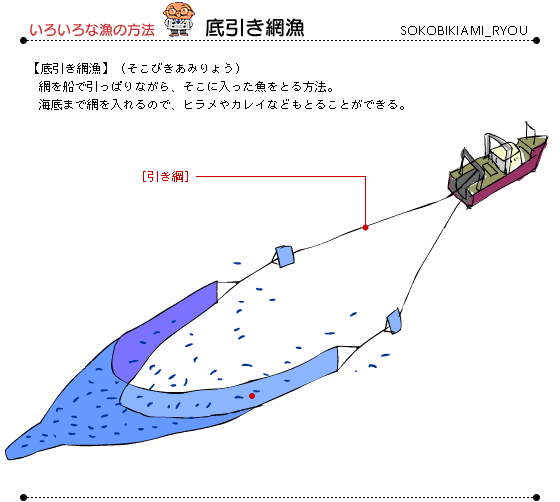 子ども水産大学 水産大学2 小型底引き網漁 子ども水産大学 水産大学2 小型底引き網漁